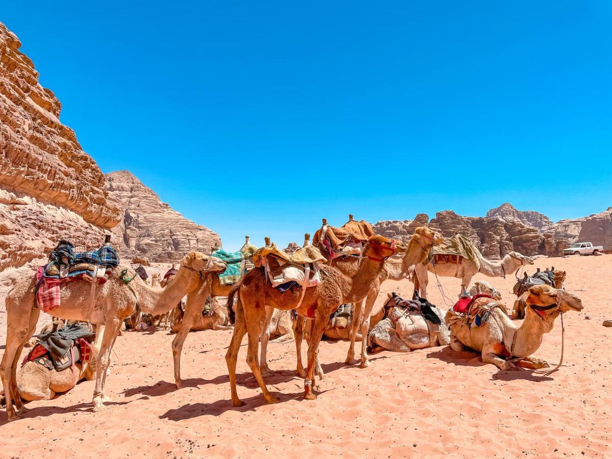 Hotel Rum Jordan Camp And Tours à Wadi Rum Extérieur photo